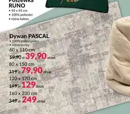 Agata Meble Dywan Pascal 80x150 cm oferta