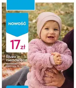 Pepco Bluza niemowlęca dziewczęca oferta