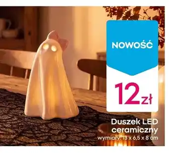 Duszek LED ceramiczny