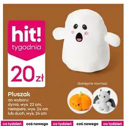 Pepco Pluszak dynia wys. 22 cm oferta