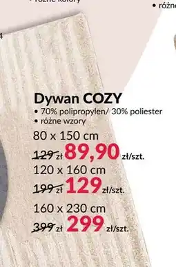 Agata Meble Dywan Cozy 80x150 cm oferta