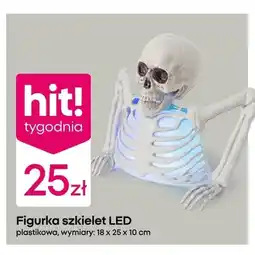 Pepco Figurka szkielet LED plastikowa oferta
