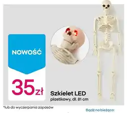 Pepco Szkielet LED plastikowy oferta
