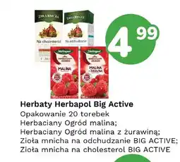 Limonka Herbata Herbaciany Ogród malina z żurawiną Herbapol oferta