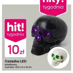 Pepco Czaszka LED plastikowa oferta