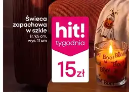 Pepco Świeca zapachowa w szkle oferta