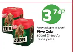 Limonka Piwo Żubr oferta