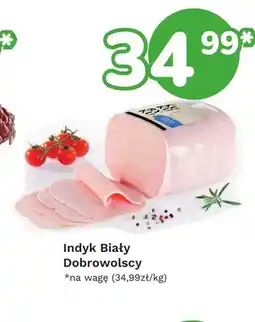 Limonka Indyk biały Dobrowolscy oferta