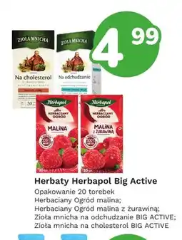 Limonka Herbata Zioła Mnicha na cholesterol Big Active oferta