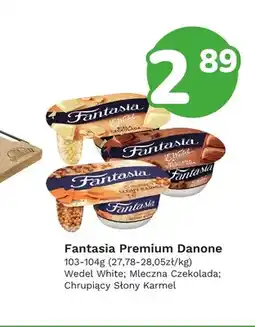 Limonka Jogurt Fantasia Premium Mleczna Czekolada Danone oferta