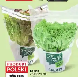 Intermarche Sałata batawska Z Sadów i Pól oferta