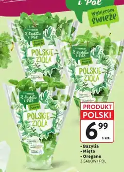 Intermarche Bazylia Z Sadów i Pól oferta