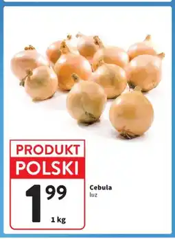 Intermarche Cebula polska oferta