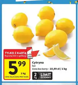 Intermarche Cytryny oferta