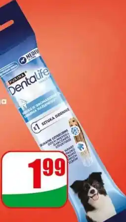 Dino Purina Dentalife oferta