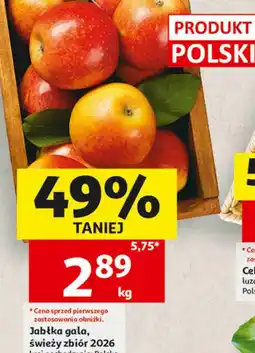 Auchan Jabłka gala, świeży zbiór oferta