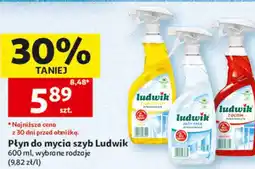 Auchan Płyn do mycia szyb Ludwik oferta