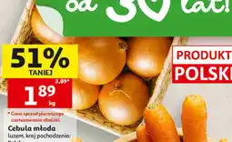 Auchan Cebula młoda oferta