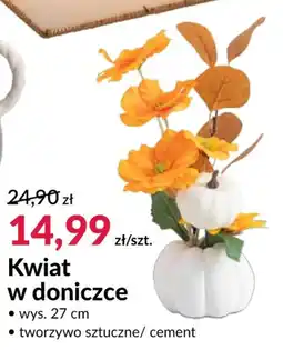 Agata Meble Kwiat w doniczce oferta