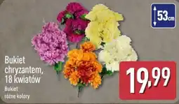 ALDI Bukiet chryzantem oferta