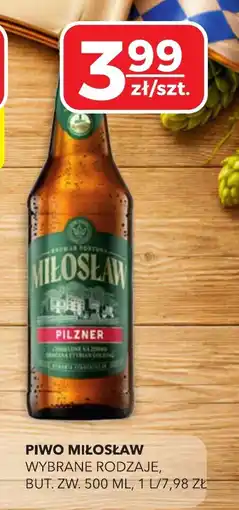 Top Market Piwo Miłosław oferta
