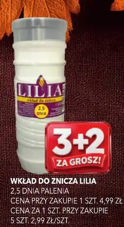 Top Market Wkład do znicza Lilia oferta