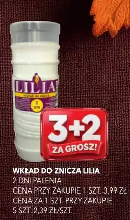 Top Market Wkład do znicza Lilia oferta