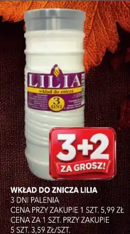Top Market Wkład do znicza Lilia oferta
