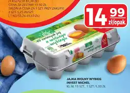 Top Market Jajka Wolny Wybieg Invest Michel oferta