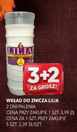 Top Market Wkład do znicza Lilia oferta
