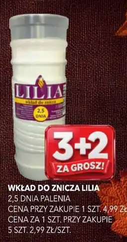Top Market Wkład do znicza Lilia oferta