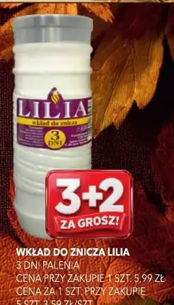 Top Market Wkład do znicza Lilia oferta
