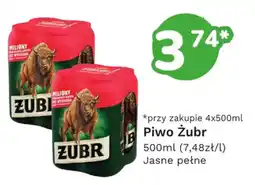 Limonka Piwo Żubr oferta