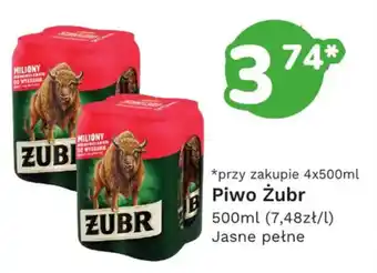 Piwo Żubr