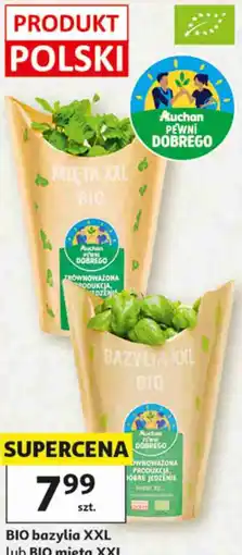 Auchan BIO bazylia XXL lub BIO mięta XXL Pewni Dobrego oferta