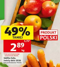 Auchan Jabłka Gala oferta