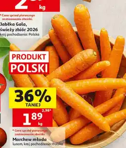 Auchan Marchew młoda oferta