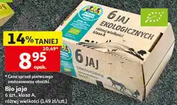 Auchan Bio jaja 6 szt. Pewni Dobrego oferta