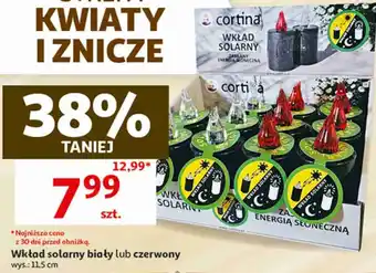 Wkład solarny biały lub czerwony Cortina
