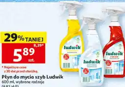 Auchan Płyn do mycia szyb Ludwik oferta