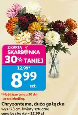 Auchan Chryzantema, duża gałązka oferta