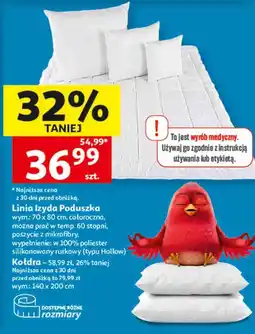 Auchan Linia Izyda Poduszka oferta