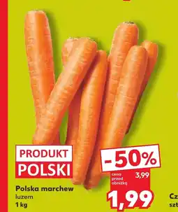 Kaufland Marchew Polski oferta