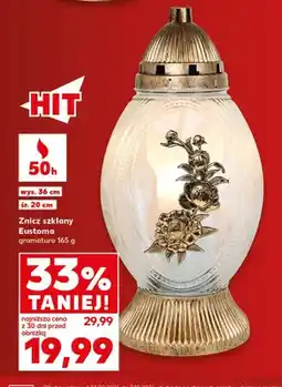 Kaufland Znicz szklany Eustoma oferta