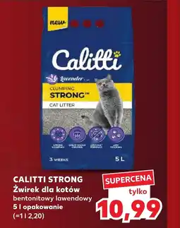 Kaufland Żwirek bentonitowy Calitti oferta