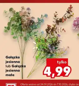 Kaufland Gałązka jesienna mała oferta