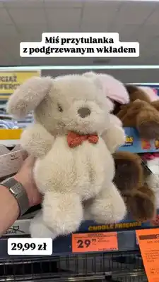 Biedronka Miś przytulanka z podgrzewanym wkładem Cuddle Friends oferta