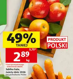 Auchan Jabłka Gala oferta