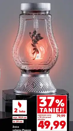 Kaufland Znicz oferta