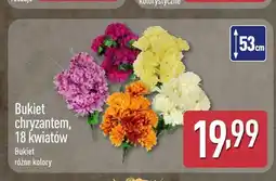 ALDI Bukiet chryzantem 18 kwiatów oferta